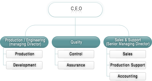 C.E.O  /  Production·Engineering (Division) : Production, Development  / Quality: control, Quality Assurance  /  Sales & Support (Division) : Sales, Production Support, Accounting